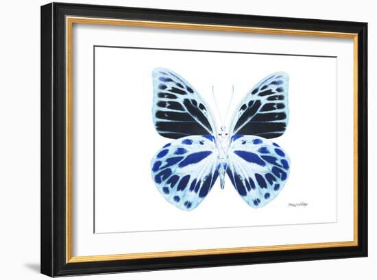 Miss Butterfly Prioneris - X-Ray White Edition-Philippe Hugonnard-Framed Photographic Print