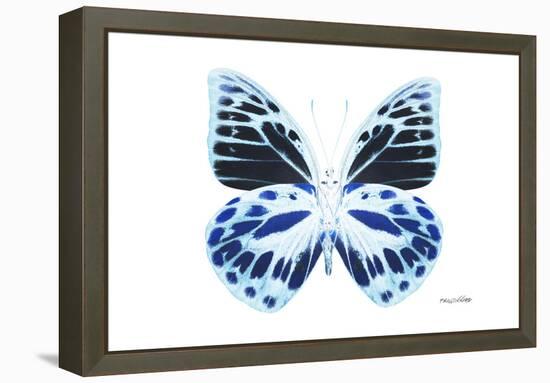 Miss Butterfly Prioneris - X-Ray White Edition-Philippe Hugonnard-Framed Premier Image Canvas