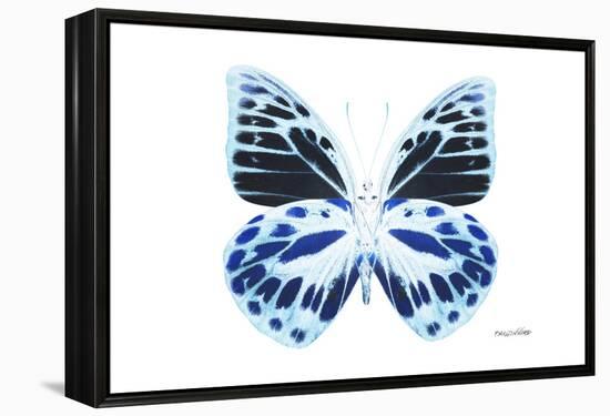 Miss Butterfly Prioneris - X-Ray White Edition-Philippe Hugonnard-Framed Premier Image Canvas