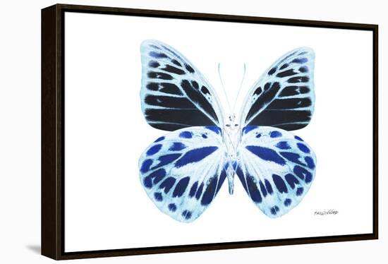 Miss Butterfly Prioneris - X-Ray White Edition-Philippe Hugonnard-Framed Premier Image Canvas