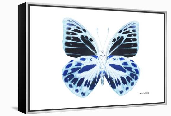 Miss Butterfly Prioneris - X-Ray White Edition-Philippe Hugonnard-Framed Premier Image Canvas