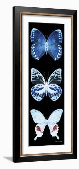 Miss Butterfly X-Ray Black Pano II-Philippe Hugonnard-Framed Photographic Print