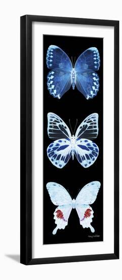 Miss Butterfly X-Ray Black Pano II-Philippe Hugonnard-Framed Photographic Print