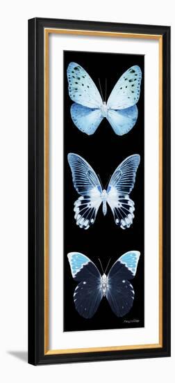 Miss Butterfly X-Ray Black Pano-Philippe Hugonnard-Framed Photographic Print