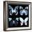 Miss Butterfly X-Ray Black Square II-Philippe Hugonnard-Framed Photographic Print