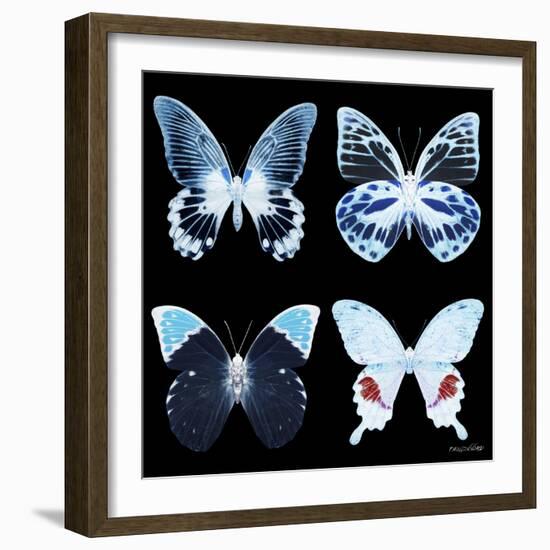 Miss Butterfly X-Ray Black Square II-Philippe Hugonnard-Framed Photographic Print