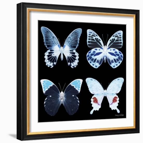 Miss Butterfly X-Ray Black Square II-Philippe Hugonnard-Framed Photographic Print