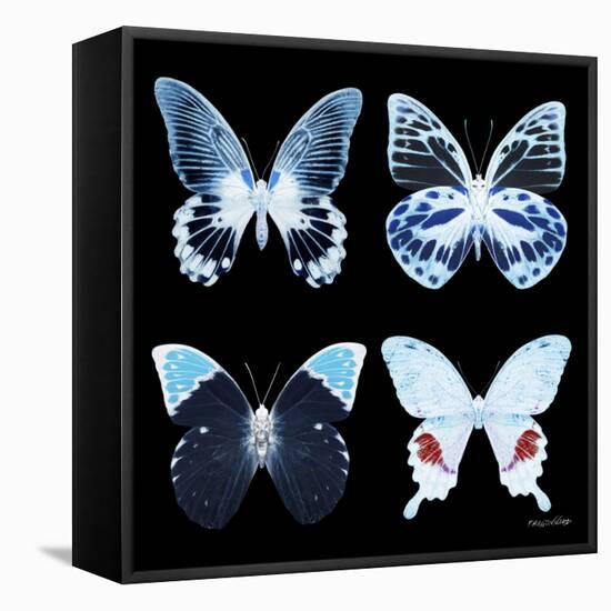Miss Butterfly X-Ray Black Square II-Philippe Hugonnard-Framed Stretched Canvas