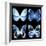 Miss Butterfly X-Ray Black Square-Philippe Hugonnard-Framed Photographic Print