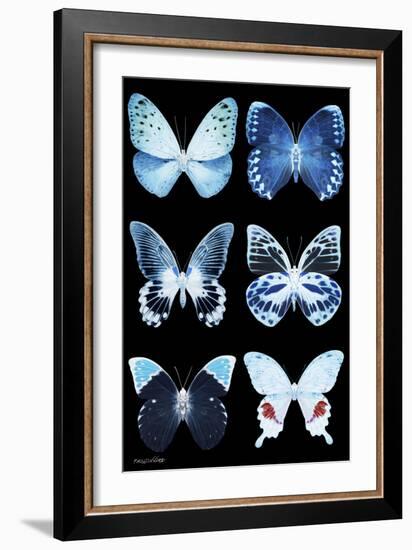 Miss Butterfly X-Ray Black-Philippe Hugonnard-Framed Photographic Print