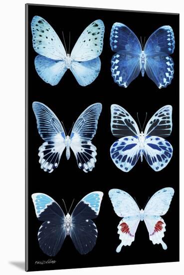 Miss Butterfly X-Ray Black-Philippe Hugonnard-Mounted Photographic Print