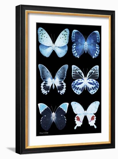 Miss Butterfly X-Ray Black-Philippe Hugonnard-Framed Photographic Print