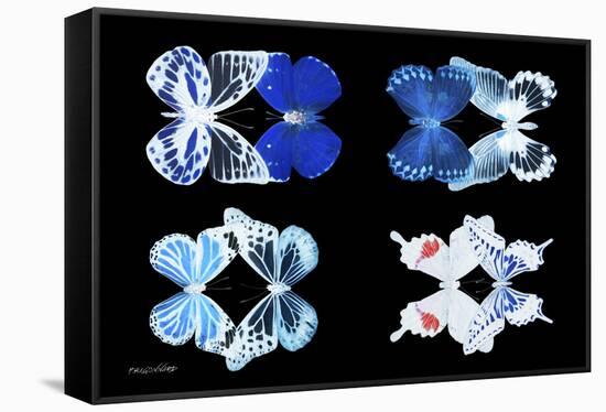 Miss Butterfly X-Ray Duo Black II-Philippe Hugonnard-Framed Stretched Canvas