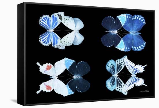 Miss Butterfly X-Ray Duo Black III-Philippe Hugonnard-Framed Stretched Canvas