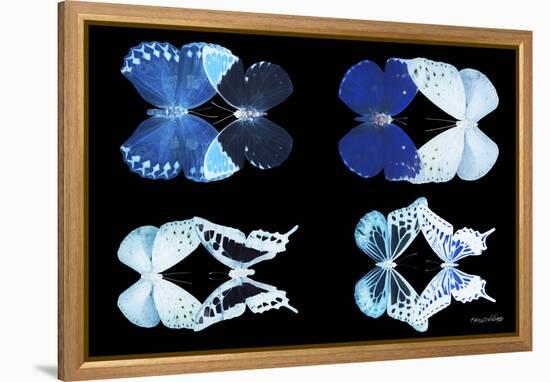 Miss Butterfly X-Ray Duo Black IV-Philippe Hugonnard-Framed Premier Image Canvas