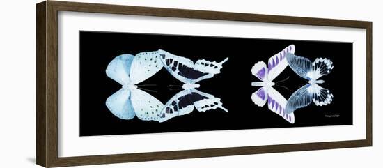 Miss Butterfly X-Ray Duo Black Pano II-Philippe Hugonnard-Framed Photographic Print