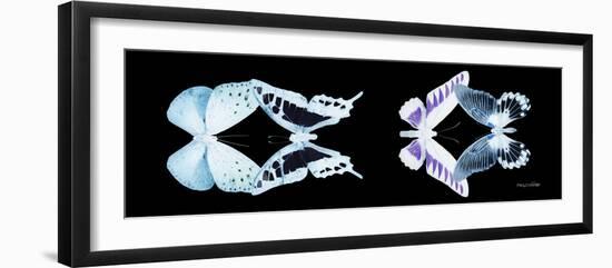 Miss Butterfly X-Ray Duo Black Pano II-Philippe Hugonnard-Framed Photographic Print