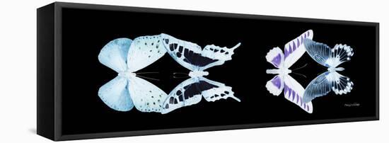 Miss Butterfly X-Ray Duo Black Pano II-Philippe Hugonnard-Framed Stretched Canvas