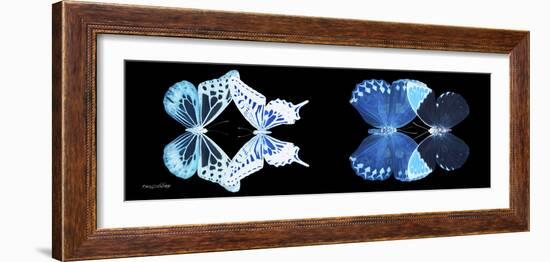 Miss Butterfly X-Ray Duo Black Pano III-Philippe Hugonnard-Framed Premium Photographic Print