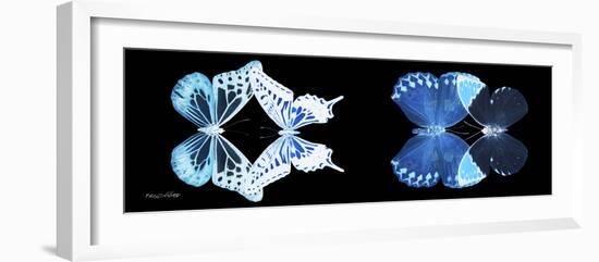 Miss Butterfly X-Ray Duo Black Pano III-Philippe Hugonnard-Framed Premium Photographic Print