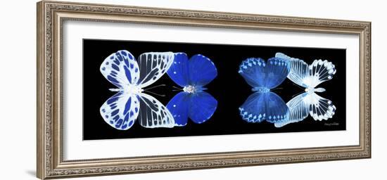 Miss Butterfly X-Ray Duo Black Pano IV-Philippe Hugonnard-Framed Photographic Print