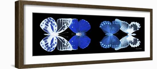 Miss Butterfly X-Ray Duo Black Pano IV-Philippe Hugonnard-Framed Photographic Print