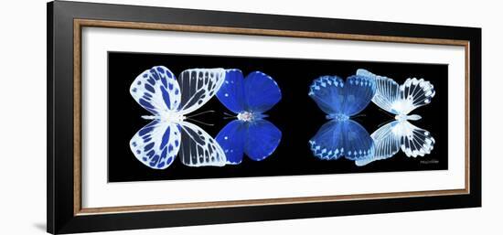 Miss Butterfly X-Ray Duo Black Pano IV-Philippe Hugonnard-Framed Photographic Print