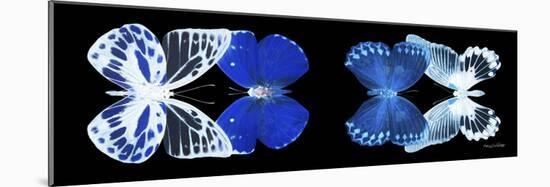 Miss Butterfly X-Ray Duo Black Pano IV-Philippe Hugonnard-Mounted Photographic Print