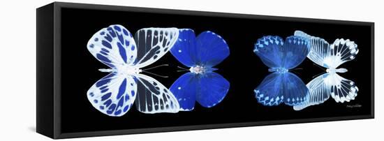 Miss Butterfly X-Ray Duo Black Pano IV-Philippe Hugonnard-Framed Stretched Canvas