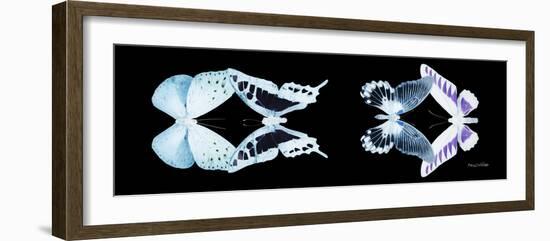 Miss Butterfly X-Ray Duo Black Pano IX-Philippe Hugonnard-Framed Photographic Print
