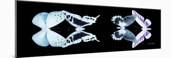 Miss Butterfly X-Ray Duo Black Pano IX-Philippe Hugonnard-Mounted Photographic Print