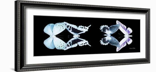 Miss Butterfly X-Ray Duo Black Pano IX-Philippe Hugonnard-Framed Photographic Print