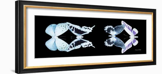 Miss Butterfly X-Ray Duo Black Pano IX-Philippe Hugonnard-Framed Photographic Print