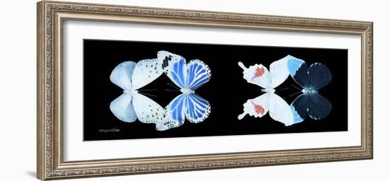 Miss Butterfly X-Ray Duo Black Pano V-Philippe Hugonnard-Framed Photographic Print