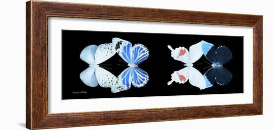 Miss Butterfly X-Ray Duo Black Pano V-Philippe Hugonnard-Framed Photographic Print