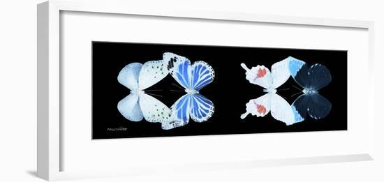 Miss Butterfly X-Ray Duo Black Pano V-Philippe Hugonnard-Framed Photographic Print