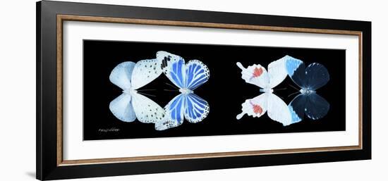 Miss Butterfly X-Ray Duo Black Pano V-Philippe Hugonnard-Framed Photographic Print