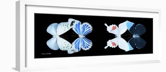 Miss Butterfly X-Ray Duo Black Pano V-Philippe Hugonnard-Framed Photographic Print