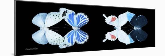 Miss Butterfly X-Ray Duo Black Pano V-Philippe Hugonnard-Mounted Photographic Print