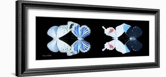 Miss Butterfly X-Ray Duo Black Pano V-Philippe Hugonnard-Framed Photographic Print