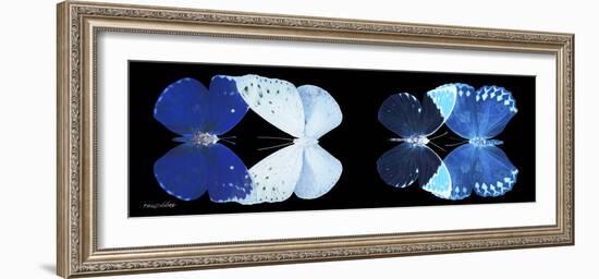 Miss Butterfly X-Ray Duo Black Pano VI-Philippe Hugonnard-Framed Photographic Print