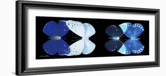 Miss Butterfly X-Ray Duo Black Pano VI-Philippe Hugonnard-Framed Photographic Print