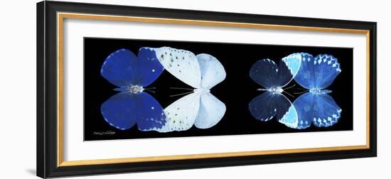 Miss Butterfly X-Ray Duo Black Pano VI-Philippe Hugonnard-Framed Photographic Print