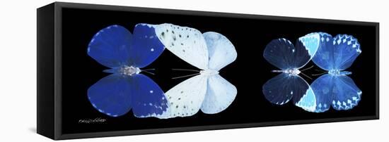 Miss Butterfly X-Ray Duo Black Pano VI-Philippe Hugonnard-Framed Stretched Canvas