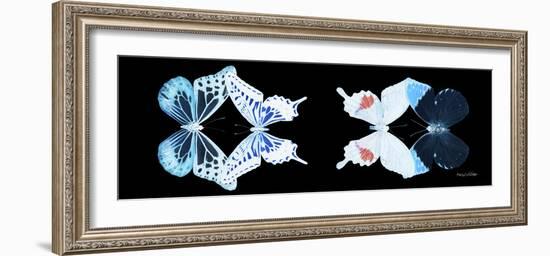 Miss Butterfly X-Ray Duo Black Pano VIII-Philippe Hugonnard-Framed Photographic Print