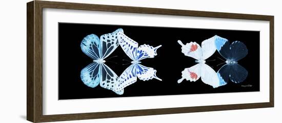 Miss Butterfly X-Ray Duo Black Pano VIII-Philippe Hugonnard-Framed Photographic Print