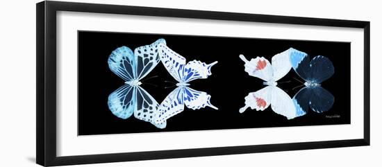 Miss Butterfly X-Ray Duo Black Pano VIII-Philippe Hugonnard-Framed Photographic Print