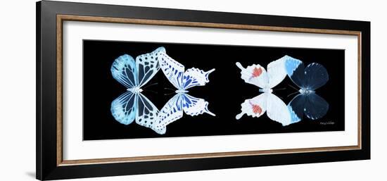 Miss Butterfly X-Ray Duo Black Pano VIII-Philippe Hugonnard-Framed Photographic Print