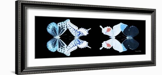 Miss Butterfly X-Ray Duo Black Pano VIII-Philippe Hugonnard-Framed Photographic Print