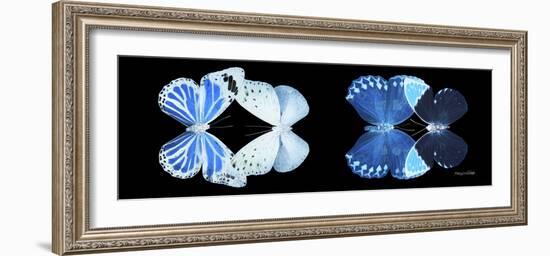 Miss Butterfly X-Ray Duo Black Pano X-Philippe Hugonnard-Framed Photographic Print